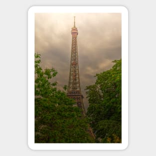 Eiffel Tower, Paris Between The Trees Sticker